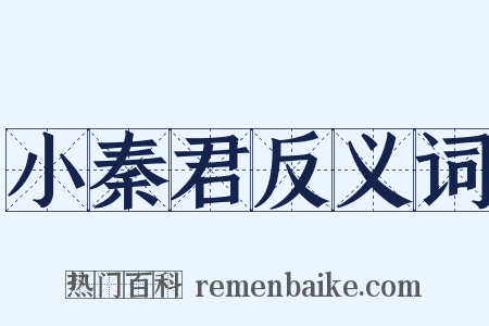 小秦君反义词是什么意思的图片